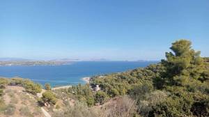 1ο Spetses Mountain Run - Κυριακή 23 Φεβρουαρίου 2025 - Προκήρυξη Διοργάνωσης!